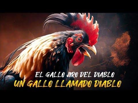 A rooster named Diablo – Beware of Jiro, the Devil’s Rooster. A chilling horror tale that sends shivers down your spine.